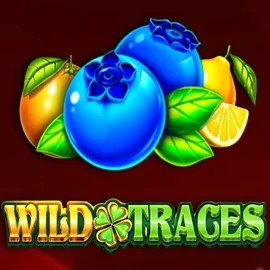 Slots logo of Wild Traces from Amusnet Interactive at Spinju Casino